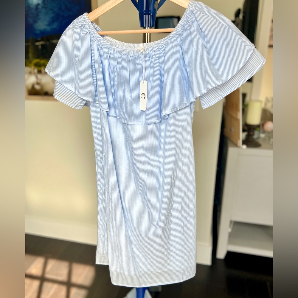 Charming Charlie Ruffle Dress in Blue & White
